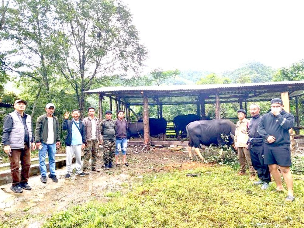 Officials and others during the introduction programme of semi-intensive Mithun farming held at Thsuruhu Village under Satoi sub division, Zunheboto.